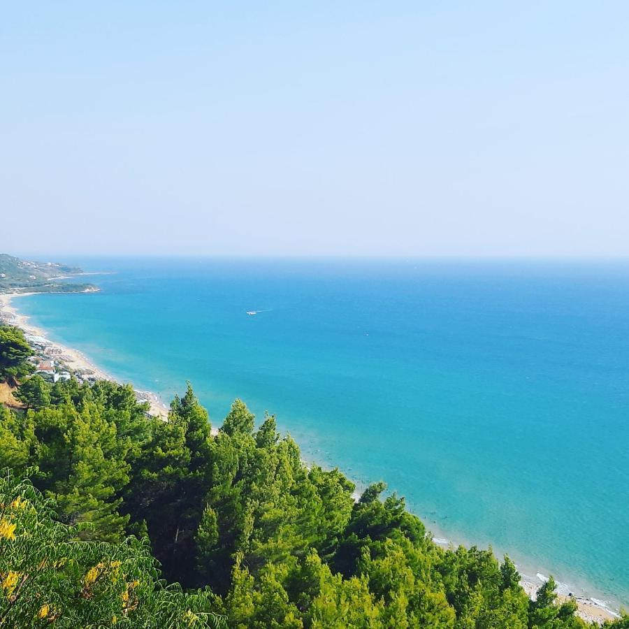 Elsa Home بريفيزا المظهر الخارجي الصورة