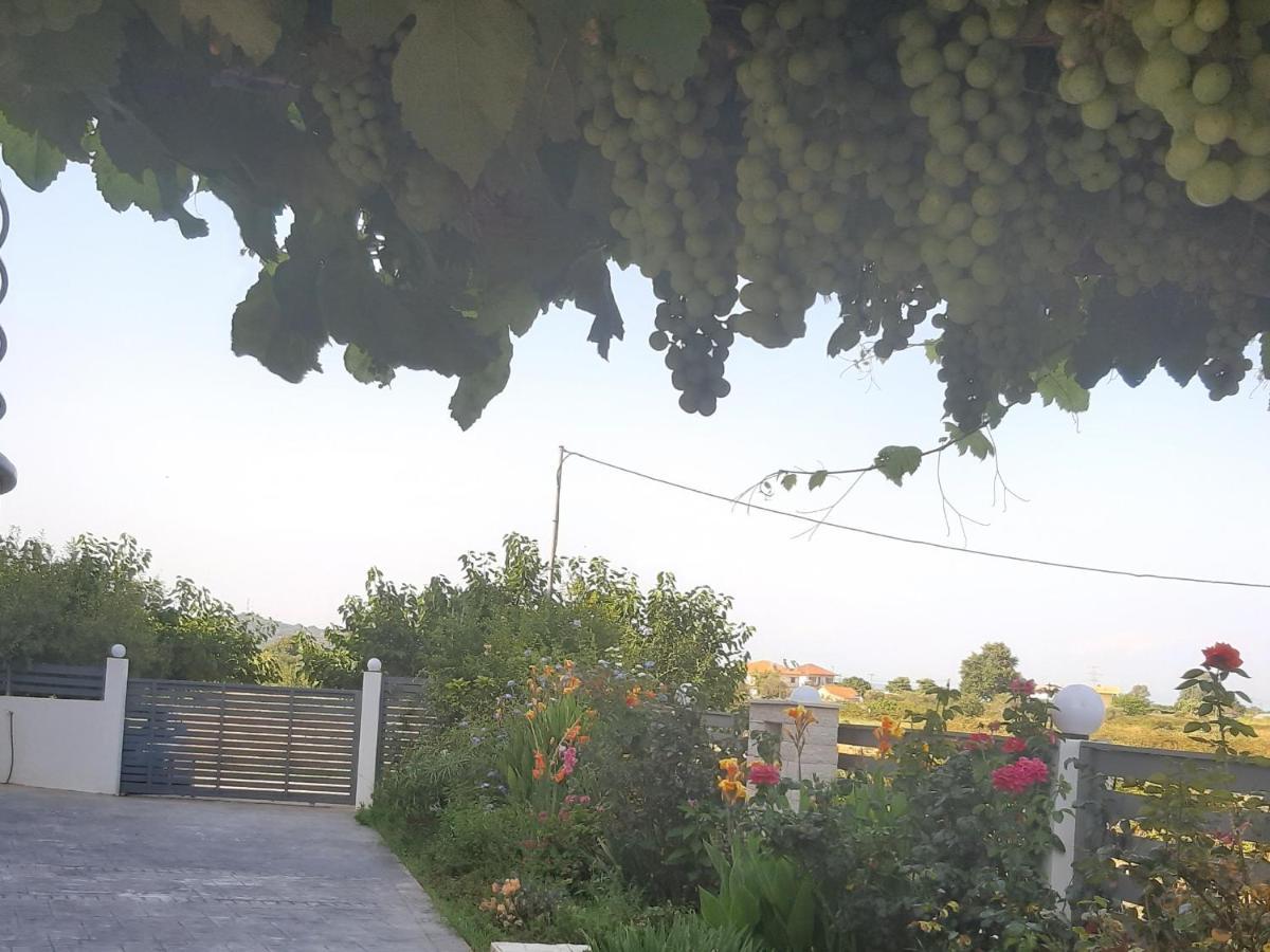 Elsa Home بريفيزا المظهر الخارجي الصورة